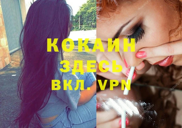 метадон Алексин