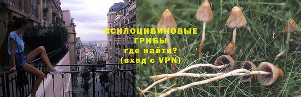метадон Алексин