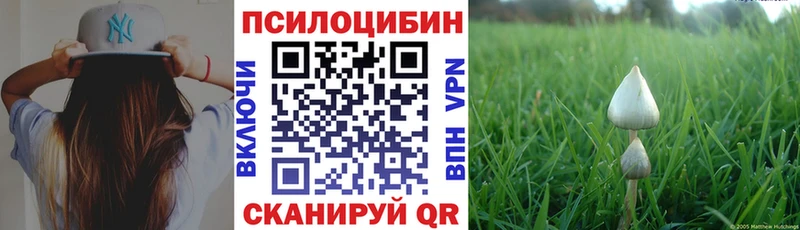 Галлюциногенные грибы MAGIC MUSHROOMS  Обнинск 
